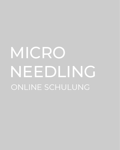 Micro Needling Online Schulung