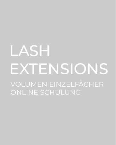 Lash Extensions (Einzelfächer Technik) Online Schulung