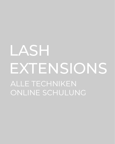 Lash Extensions (alle Techniken) Online Schulung