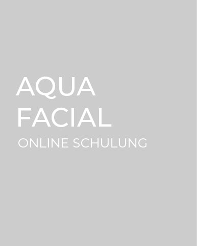 Aqua Facial Online Schulung